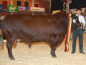 Bundesschau in Alsfeld