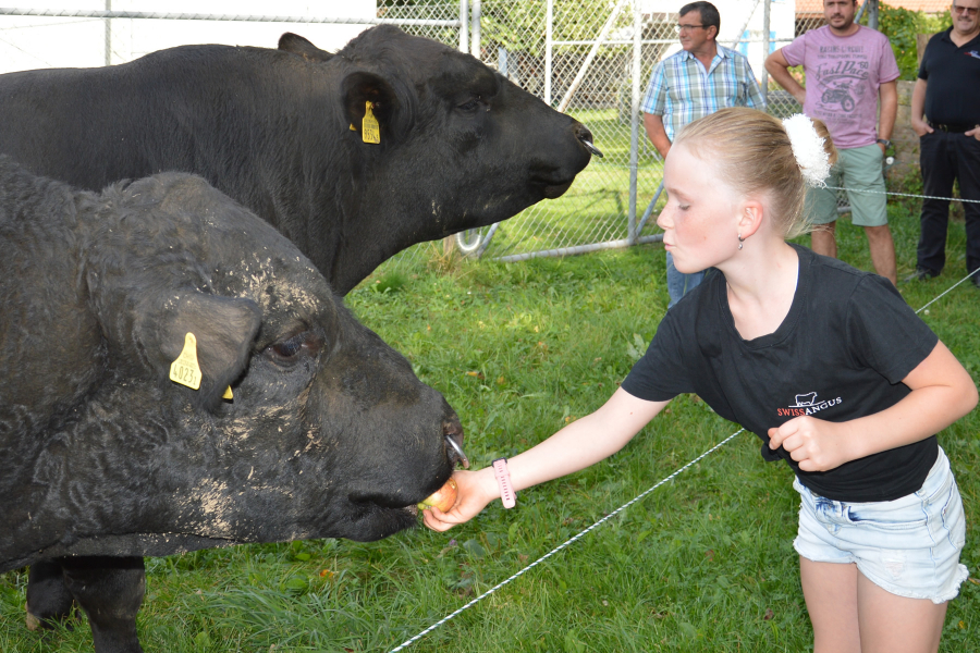 Sommerhöck 2020 von SwissAngus