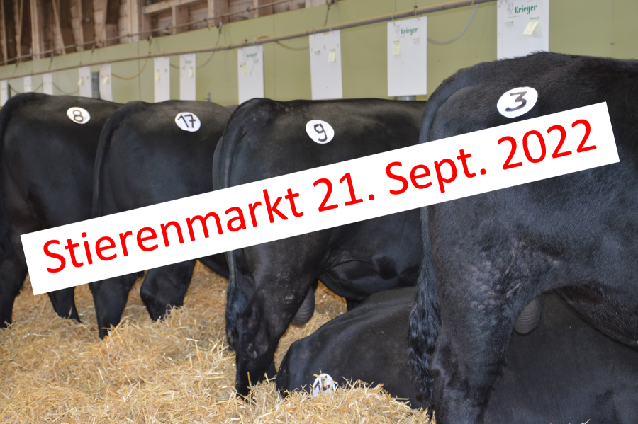 Katalog Stierenmarkt vom 21.09.2022