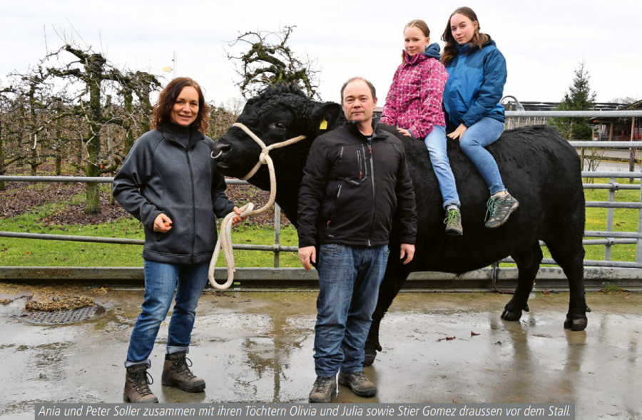 Angus aus Freude und Leidenschaft