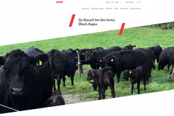 Zu Besuch bei den Swiss Black Angus